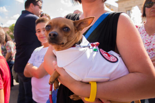 Inaugurazione ambulanza 2013